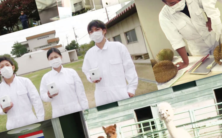 ผ่านการทดสอบและตรวจสอบเพื่อประสิทธิภาพที่แท้จริง - การตรวจสอบในพื้นที่จริงการใช้งานจริงและการทดสอบทางการแพทย์