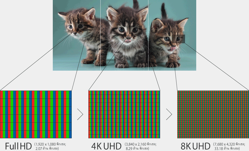 เต็มอิ่มในทุกอารมณ์กับภาพคมชัดระดับ 8K UHD About 8K UHD Technology